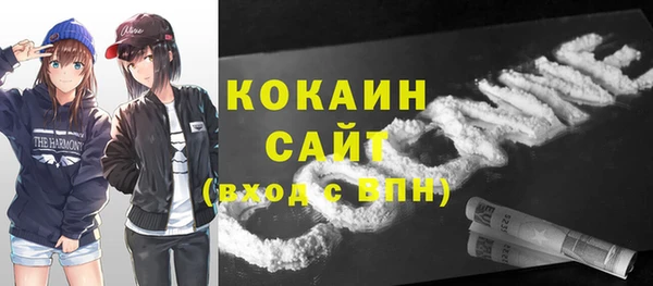 прущие грибы Бугульма