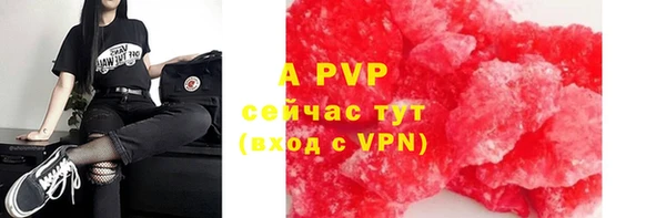 прущие грибы Бугульма