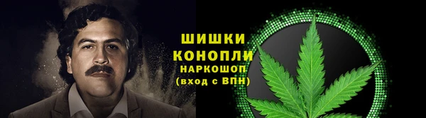 прущие грибы Бугульма