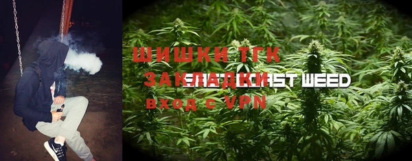 прущие грибы Бугульма