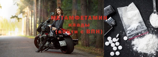 прущие грибы Бугульма
