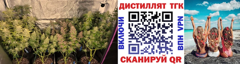купить наркотики сайты  Новохопёрск  Дистиллят ТГК Wax 