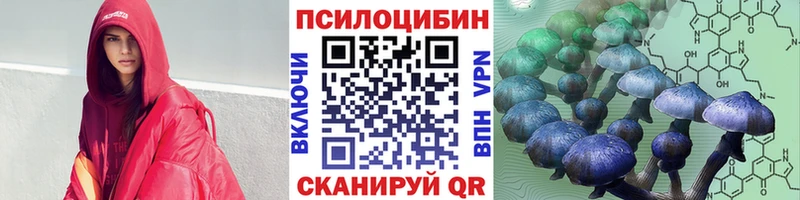 купить   Новохопёрск  OMG   Галлюциногенные грибы Psilocybe 